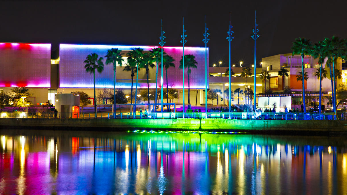 Bachelor and Bachelorette Party Ideas in Tampa That Go Beyond the Usual Night Out